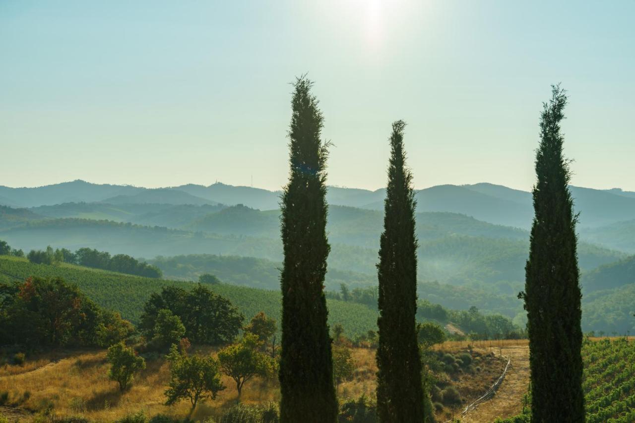 Celle Di Lecchi Nel Chianti Villa San Sano ภายนอก รูปภาพ