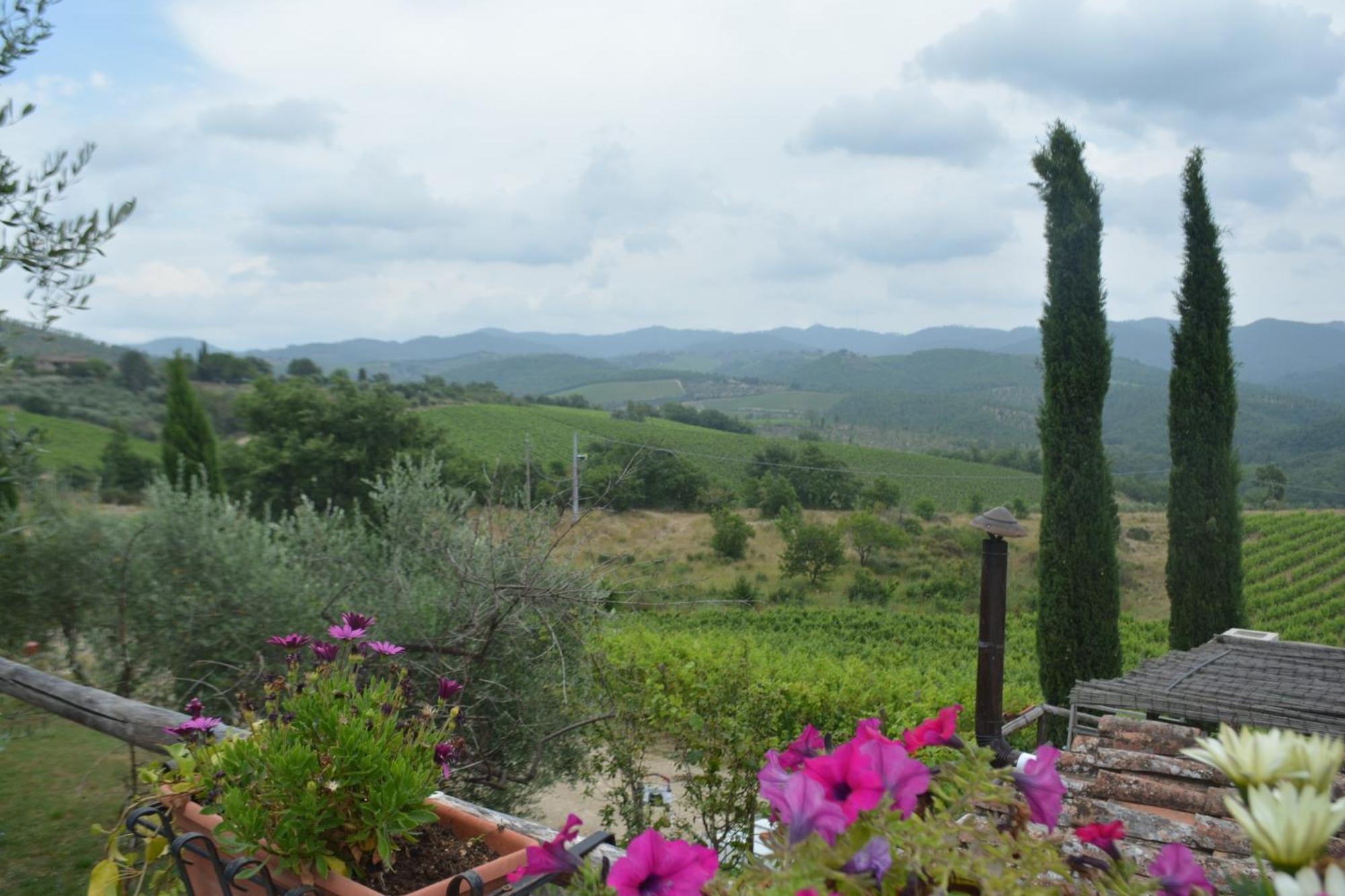 Celle Di Lecchi Nel Chianti Villa San Sano ภายนอก รูปภาพ