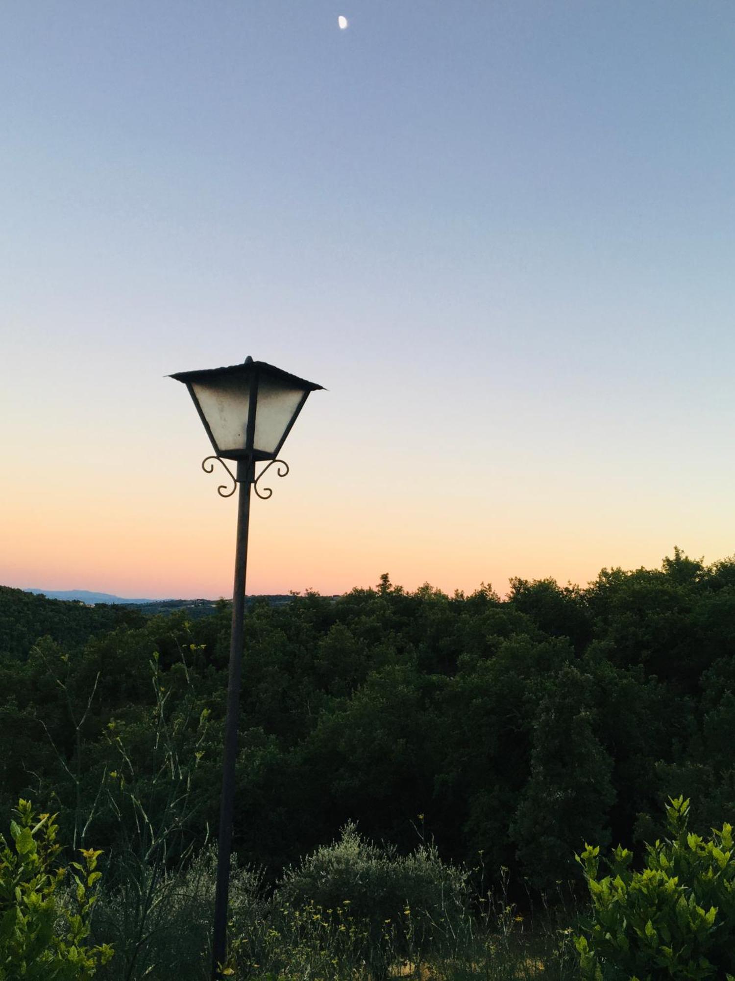 Celle Di Lecchi Nel Chianti Villa San Sano ภายนอก รูปภาพ
