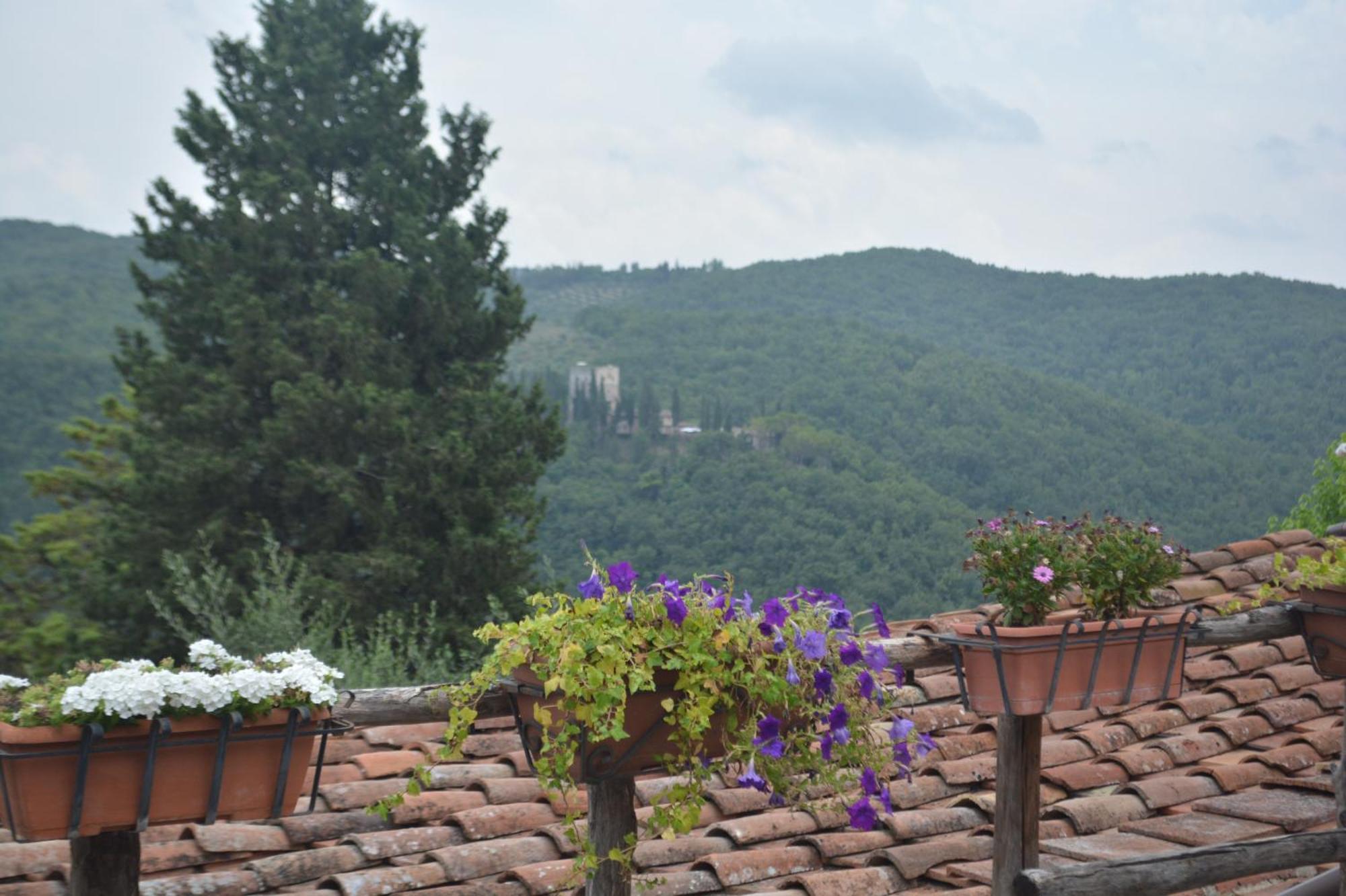 Celle Di Lecchi Nel Chianti Villa San Sano ภายนอก รูปภาพ