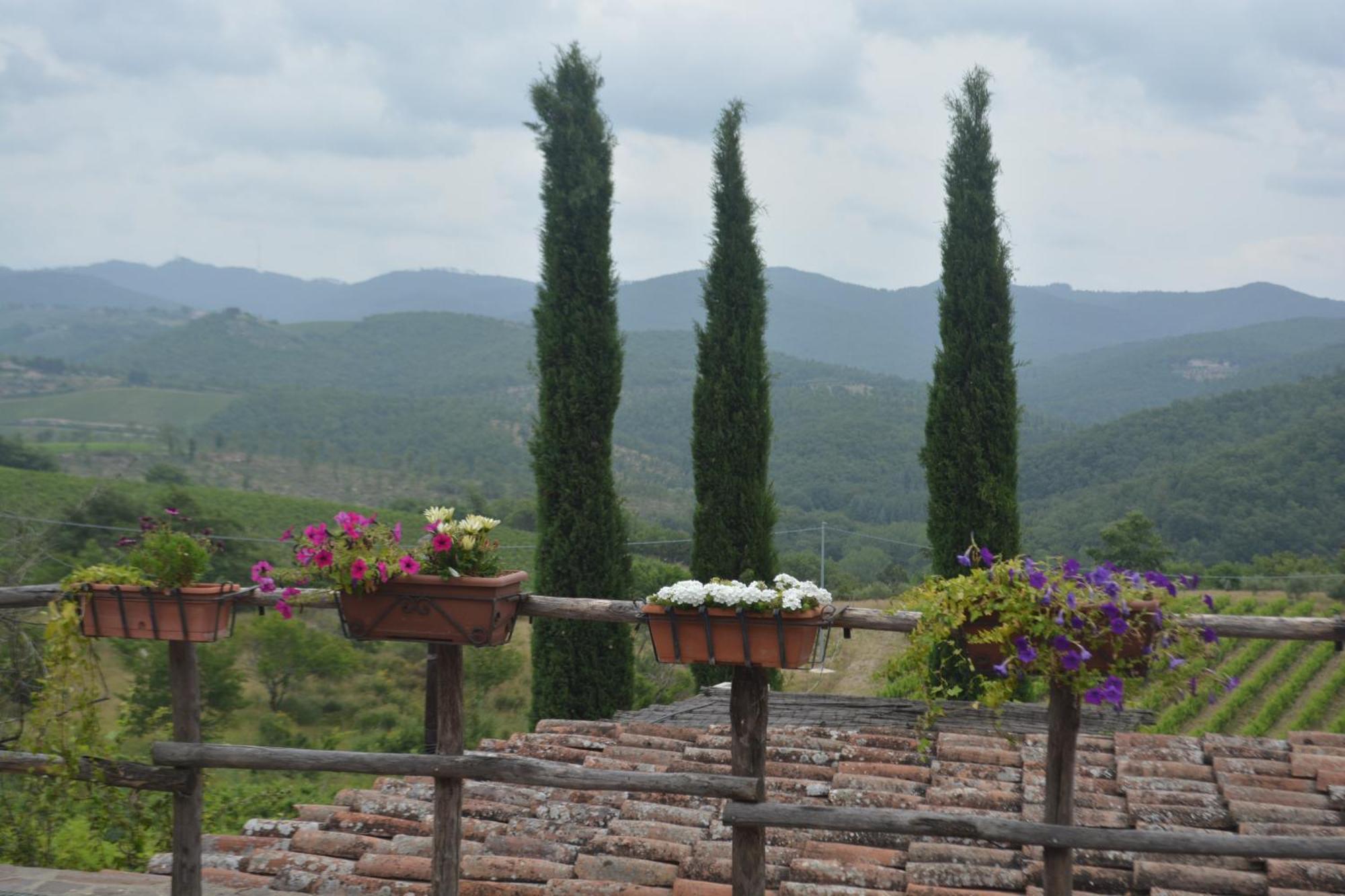 Celle Di Lecchi Nel Chianti Villa San Sano ภายนอก รูปภาพ